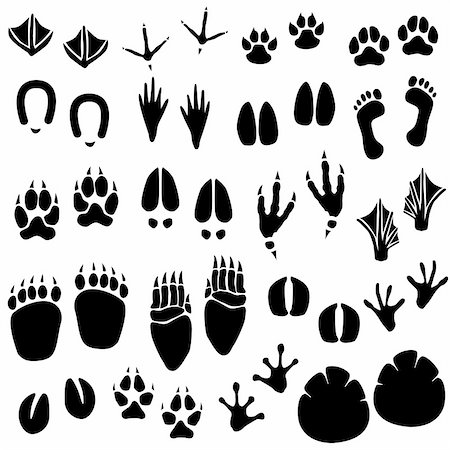 silhouettes man and dog - A set of animal footprint in vector. Stock Photo - Budget Royalty-Free & Subscription, Code: 400-04242092