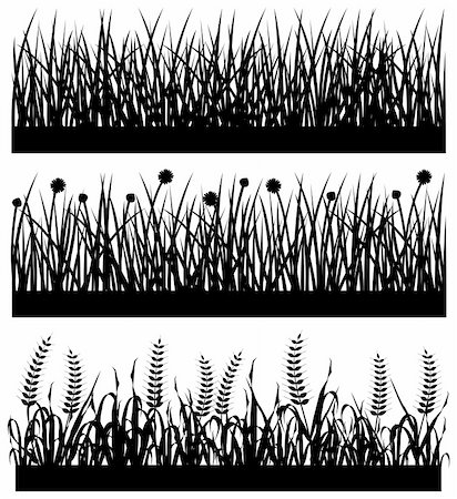 simsearch:400-04428532,k - A set of grass, flower, weed, and wheat on a field. Photographie de stock - Aubaine LD & Abonnement, Code: 400-04242110