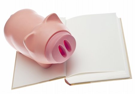 Education Savings Concept with Piggy Bank and Open Book Isolated on White with a Clipping Path. Stock Photo - Budget Royalty-Free & Subscription, Code: 400-04242764