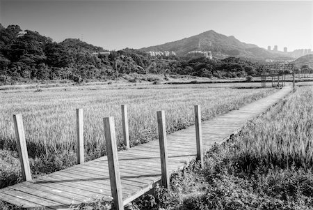 Idyllic landscape of farm in small town. Stock Photo - Budget Royalty-Free & Subscription, Code: 400-04255108