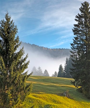 simsearch:400-04727178,k - An image of a beautiful landscape with fog in bavaria germany Foto de stock - Super Valor sin royalties y Suscripción, Código: 400-04255162