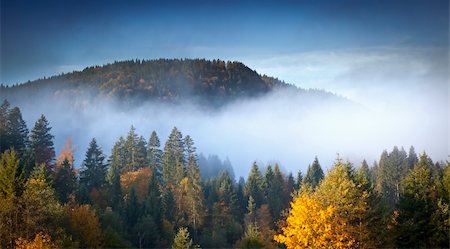 simsearch:400-04276571,k - An image of a beautiful landscape with fog in bavaria germany Foto de stock - Super Valor sin royalties y Suscripción, Código: 400-04255163
