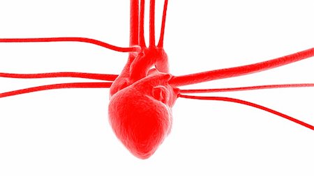 Heart with surrounding veins and arteries abstract. Stock Photo - Budget Royalty-Free & Subscription, Code: 400-04255198
