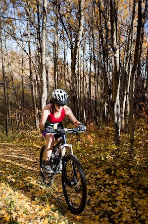 simsearch:400-04336561,k - Woman mountain biking up trail in autumn Fotografie stock - Microstock e Abbonamento, Codice: 400-04255908
