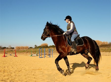 simsearch:400-06517682,k - young girl and her black stallion in a training of dressage Stock Photo - Budget Royalty-Free & Subscription, Code: 400-04256018