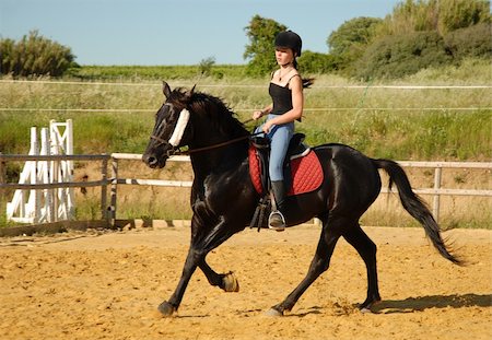 simsearch:400-06517682,k - young girl and her black stallion in a training of dressage Stock Photo - Budget Royalty-Free & Subscription, Code: 400-04256024