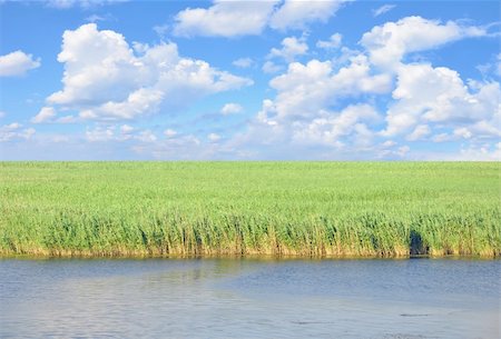 simsearch:400-07481137,k - river, meadow with green grass and perfect blue sky Photographie de stock - Aubaine LD & Abonnement, Code: 400-04256220