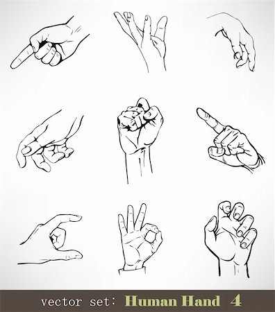 fingers outline drawing - The Vector set: Human Hand 4 Stock Photo - Budget Royalty-Free & Subscription, Code: 400-04257253