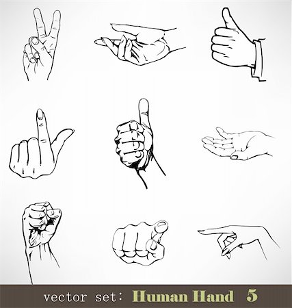 fingers outline drawing - The Vector set: Human Hand 5 Stock Photo - Budget Royalty-Free & Subscription, Code: 400-04257269