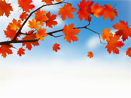 Autumn colored leaf on blue sky. EPS 8 vector file included Stock Photo - Budget Royalty-Free & Subscription, Code: 400-04257527