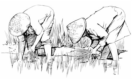Vector illustration of an hand drawing: Two women harvesting rice in asia Stock Photo - Budget Royalty-Free & Subscription, Code: 400-04257578