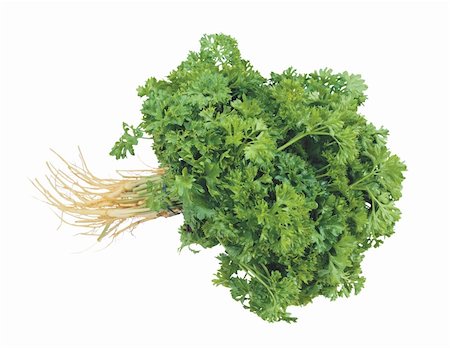 simsearch:400-07578178,k - fresh parsley isolated on white background Stock Photo - Budget Royalty-Free & Subscription, Code: 400-04257646