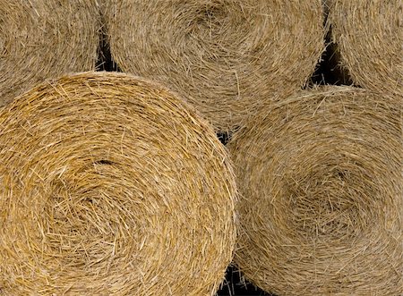 simple grass pattern - Close up of hay bales useful as background Stock Photo - Budget Royalty-Free & Subscription, Code: 400-04258192