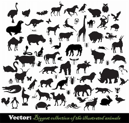 simsearch:400-04127031,k - Biggest collection a illustrated animals Photographie de stock - Aubaine LD & Abonnement, Code: 400-04258566