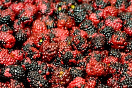 simsearch:400-04243170,k - Lots of berries arranged at the background Stock Photo - Budget Royalty-Free & Subscription, Code: 400-04258694
