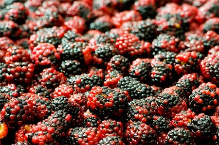 simsearch:400-04243170,k - Lots of berries arranged at the background Stock Photo - Budget Royalty-Free & Subscription, Code: 400-04258696
