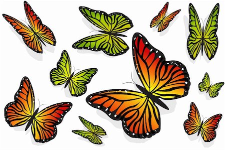 simsearch:400-07486829,k - illustration of collection of butterflies on isolated background Foto de stock - Super Valor sin royalties y Suscripción, Código: 400-04259539