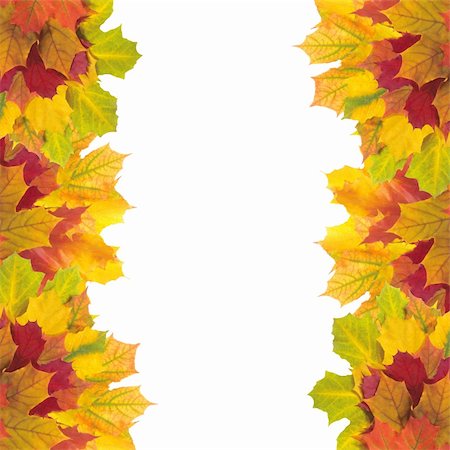 simsearch:400-04228440,k - Beautiful autumn maple leaves with copy space for your text Foto de stock - Super Valor sin royalties y Suscripción, Código: 400-04259667