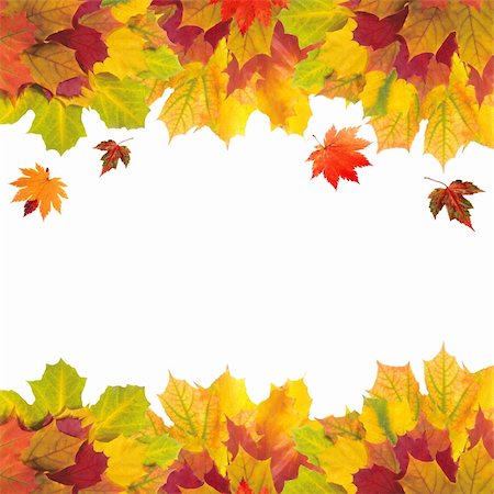simsearch:400-04228440,k - Autumn card of colored leaves over white Foto de stock - Super Valor sin royalties y Suscripción, Código: 400-04259668