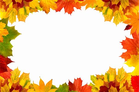 Autumn leaves border for your text Stock Photo - Budget Royalty-Free & Subscription, Code: 400-04259677