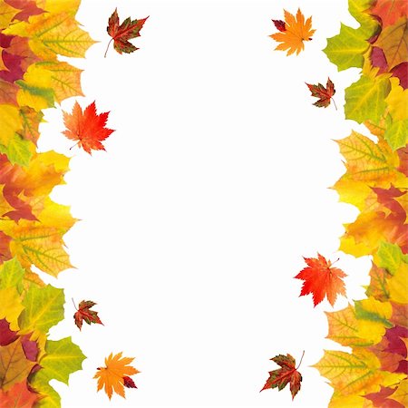 simsearch:400-04228440,k - Autumn card of colored leaves over white Foto de stock - Super Valor sin royalties y Suscripción, Código: 400-04259694