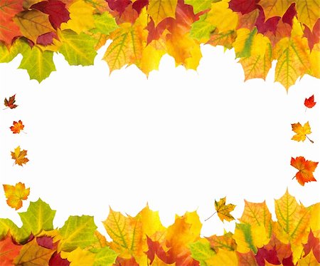 simsearch:400-04228440,k - Beautiful autumn maple leaves with copy space for your text Foto de stock - Super Valor sin royalties y Suscripción, Código: 400-04259695