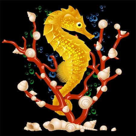 silhouette sea beach underwater - Sea horse Stock Photo - Budget Royalty-Free & Subscription, Code: 400-04259755