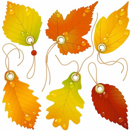 fall aspen leaves - Autumnal discount. Vector fall leaves Stock Photo - Budget Royalty-Free & Subscription, Code: 400-04259759