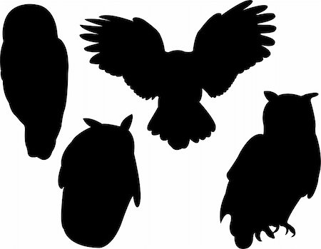 owl collection silhouette - vector Stock Photo - Budget Royalty-Free & Subscription, Code: 400-04259774