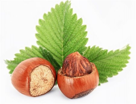 Hazelnuts on a white background Fotografie stock - Microstock e Abbonamento, Codice: 400-04265236