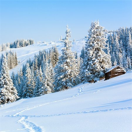 winter calm mountain landscape with shed (Carpathian Mountains, Ukraine; photo in square proportions) Foto de stock - Super Valor sin royalties y Suscripción, Código: 400-04265367