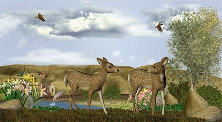 two deer find fun and frolic and meet new creatures in there unexplored territory Stock Photo - Budget Royalty-Free & Subscription, Code: 400-04265935