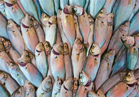 Fresh fish on display at a fish market Foto de stock - Royalty-Free Super Valor e Assinatura, Número: 400-04265968