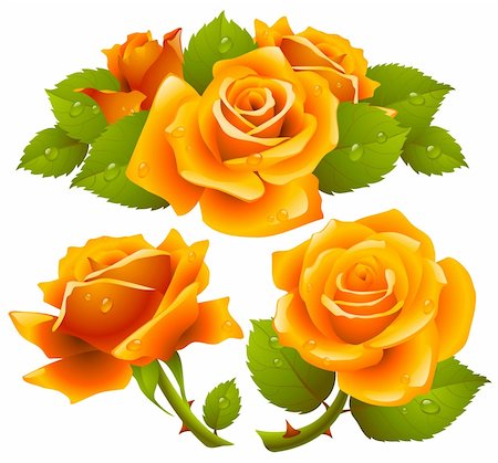 simsearch:400-04234393,k - Orange roses set Photographie de stock - Aubaine LD & Abonnement, Code: 400-04266035