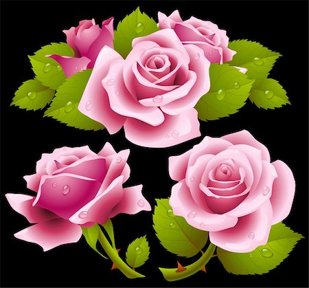 simsearch:400-04234393,k - Pink roses set Photographie de stock - Aubaine LD & Abonnement, Code: 400-04266036