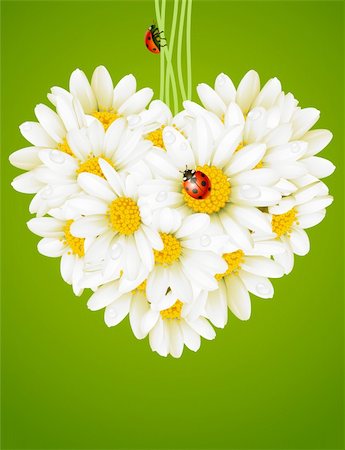 simsearch:400-04259761,k - Floral love card. Camomile heart Stock Photo - Budget Royalty-Free & Subscription, Code: 400-04266121