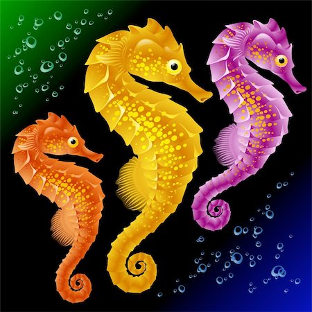 silhouette sea beach underwater - Vector Seahorses Stock Photo - Budget Royalty-Free & Subscription, Code: 400-04266138