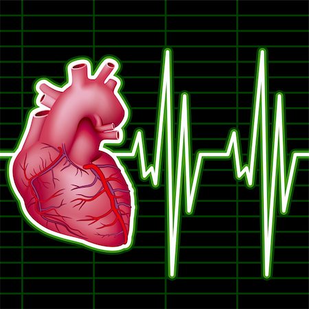 Cardiological Monitor (ECG). Vector Illustration (EPS v8.0) Stock Photo - Budget Royalty-Free & Subscription, Code: 400-04266303