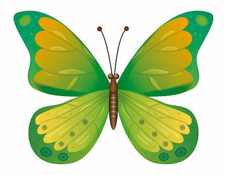 simsearch:400-08402802,k - A beautiful green butterfly isolated.  Vector illustration. Vector art in Adobe illustrator EPS format, compressed in a zip file. The different graphics are all on separate layers so they can easily be moved or edited individually. The document can be scaled to any size without loss of quality. Stockbilder - Microstock & Abonnement, Bildnummer: 400-04266332