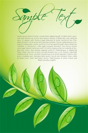 simsearch:400-04142089,k - illustration of natural card with leaf Stock Photo - Budget Royalty-Free & Subscription, Code: 400-04266665