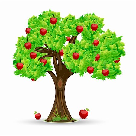 simsearch:400-04266693,k - illustration of apple tree on white background Foto de stock - Super Valor sin royalties y Suscripción, Código: 400-04266663