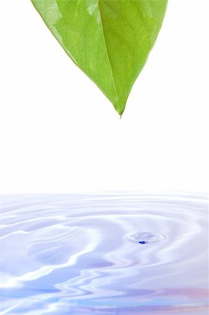 health and wellness concept with splashing water drop and leaf Stock Photo - Budget Royalty-Free & Subscription, Code: 400-04267134