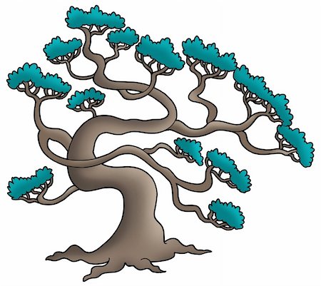 simsearch:400-04267385,k - Old pine tree - color illustration. Stockbilder - Microstock & Abonnement, Bildnummer: 400-04267389