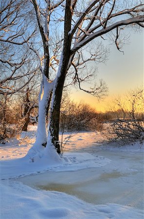 simsearch:400-08070445,k - Beautiful winter sunset with a tree over a frozen river Stock Photo - Budget Royalty-Free & Subscription, Code: 400-04267528