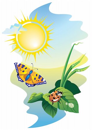 simsearch:400-05149797,k - Sunrise landscape: flying butterfly and ladybug upon the leaves with water drops, vector illustration Stock Photo - Budget Royalty-Free & Subscription, Code: 400-04267929