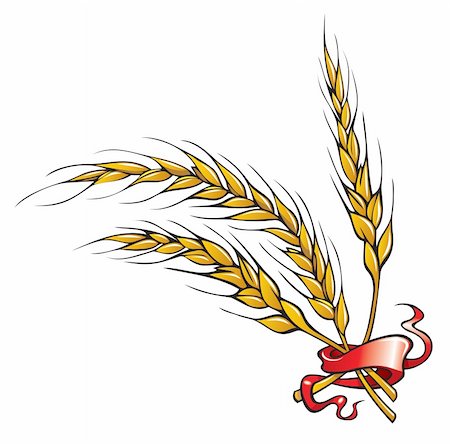 simsearch:400-07329896,k - Wheat ears with ribbon, vector illustration Stock Photo - Budget Royalty-Free & Subscription, Code: 400-04267934
