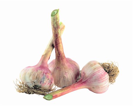 simsearch:400-05190028,k - Garlic isolated on white Foto de stock - Super Valor sin royalties y Suscripción, Código: 400-04268299