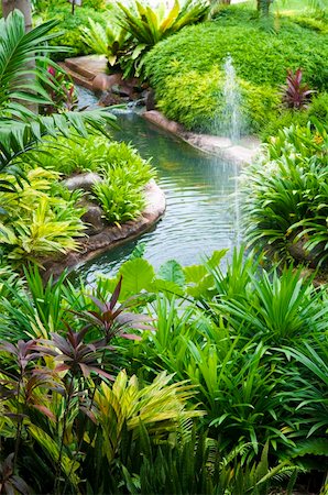 simsearch:6119-08170237,k - Tropical garden, pond and plants. Foto de stock - Super Valor sin royalties y Suscripción, Código: 400-04268410