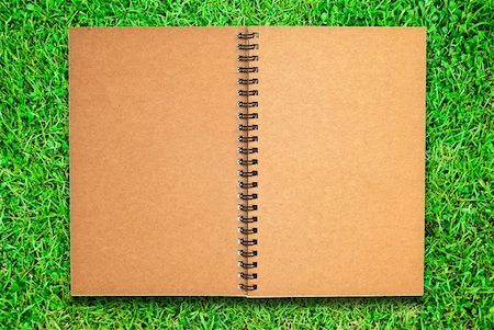 simsearch:400-04735472,k - brown recycle paper notebook open on green grass field Photographie de stock - Aubaine LD & Abonnement, Code: 400-04268452