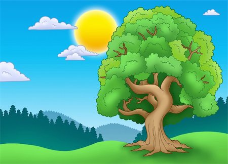 simsearch:400-04267385,k - Green leafy tree in landscape - color illustration. Stockbilder - Microstock & Abonnement, Bildnummer: 400-04268500